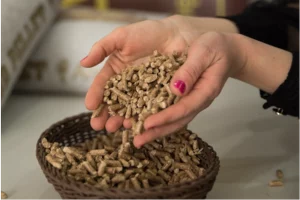 Pellet Anpol – ekologiczne paliwo do kotłów